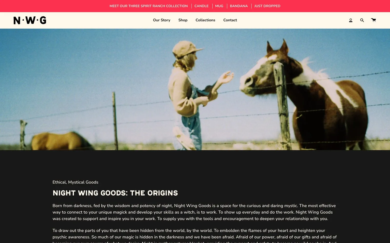 The Night Wing Goods our story page on desktop