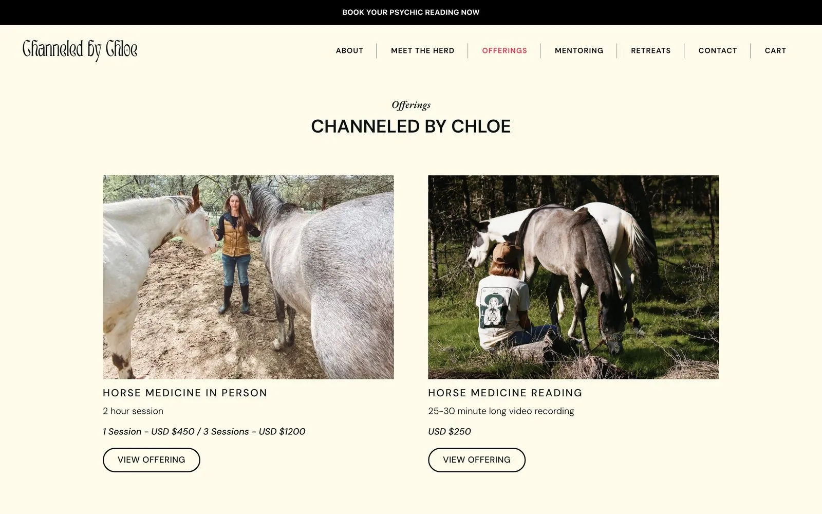 The Channeled by Chloe offerings page on desktop
