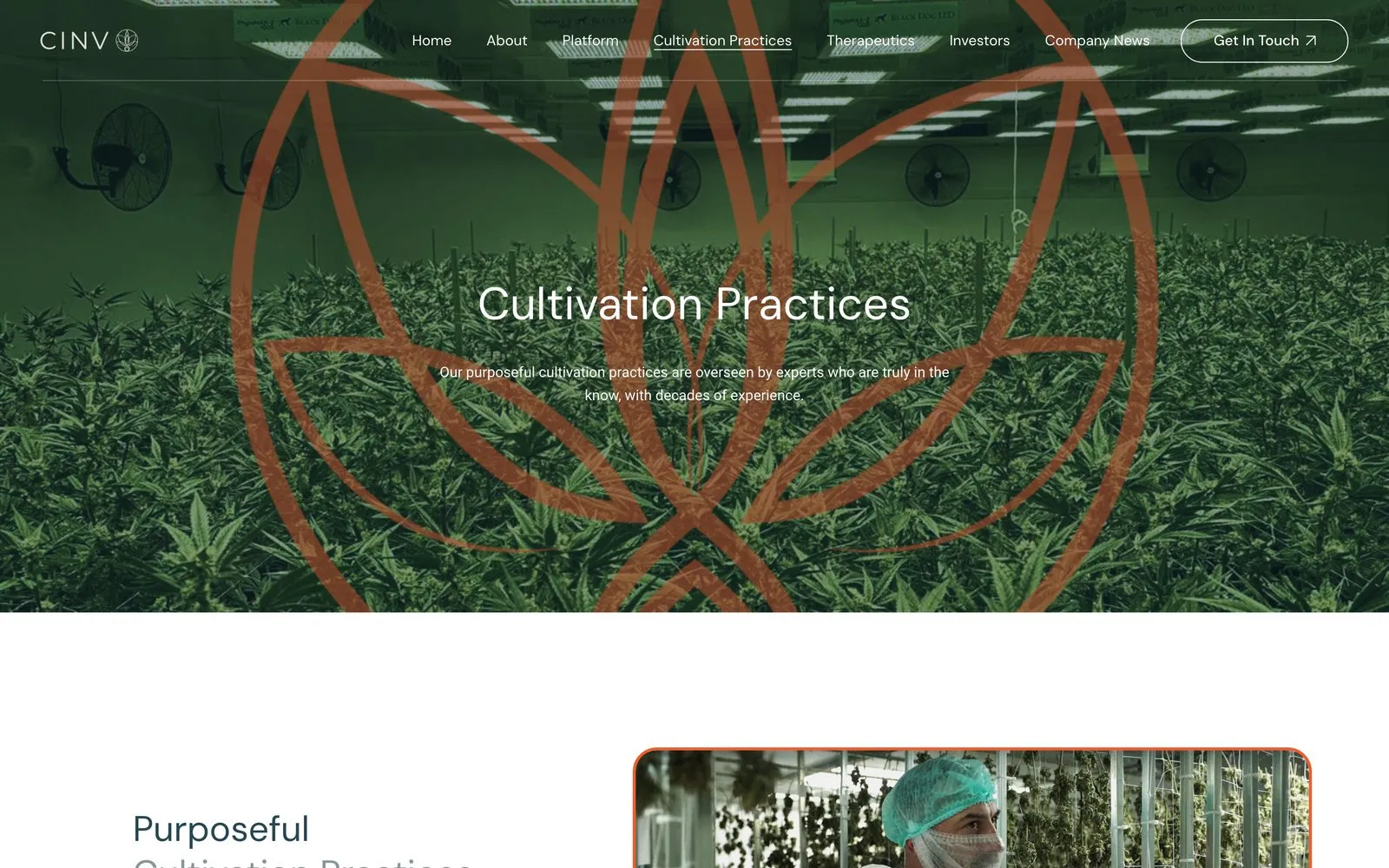The CINV Corp cultivation practices page on desktop